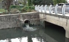  回頭看&rdquo;典型案例通報（二十三）丨責(zé)任未壓實 整改打折扣 安徽蕪湖中央環(huán)保督察整改落實不力