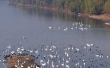  生態(tài)環(huán)境部召開2018年上半年水環(huán)境質(zhì)量達標(biāo)滯后地區(qū)工作調(diào)度會