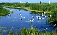  IPBES全球評(píng)估第三次作者會(huì)在德國(guó)召開