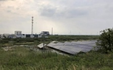  江蘇海安市違規(guī)撤銷沿海防護(hù)林和灘涂縣級(jí)自然保護(hù)區(qū)實(shí)施開(kāi)發(fā)建設(shè)