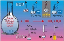  BOD和COD有什么區(qū)別？