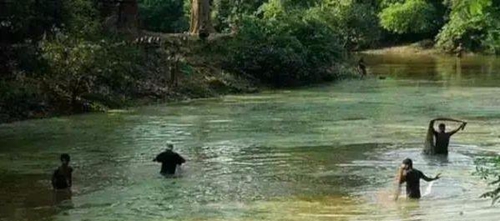 水渾了？不用怕，這五個方面讓水質恢復清新